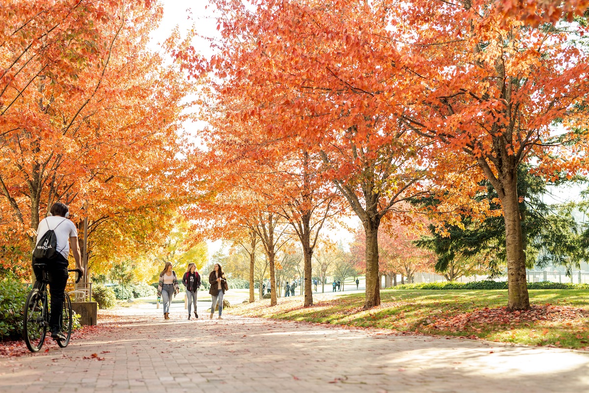 washington college virtual tour